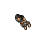 Arena Champion, female