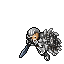 Lion of War, male